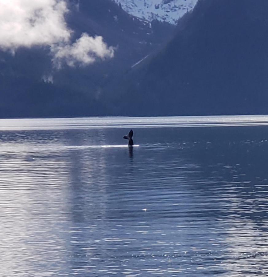 Resurrection Lodge On The Bay Seward Esterno foto